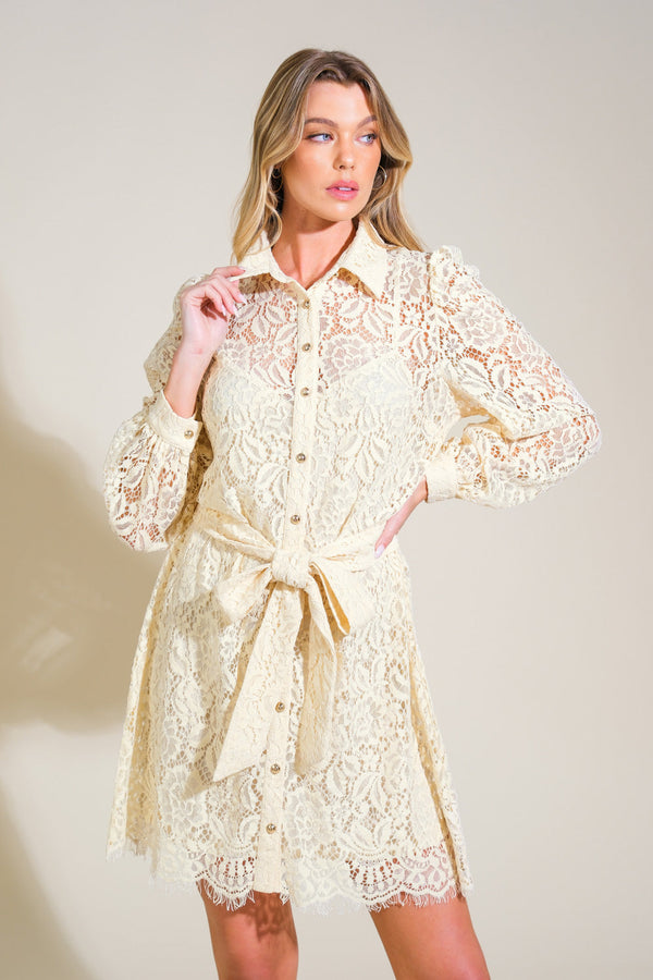 adore-you-lace-mini-dress Flying Tomato-Sophia's StyleDRESSES-1